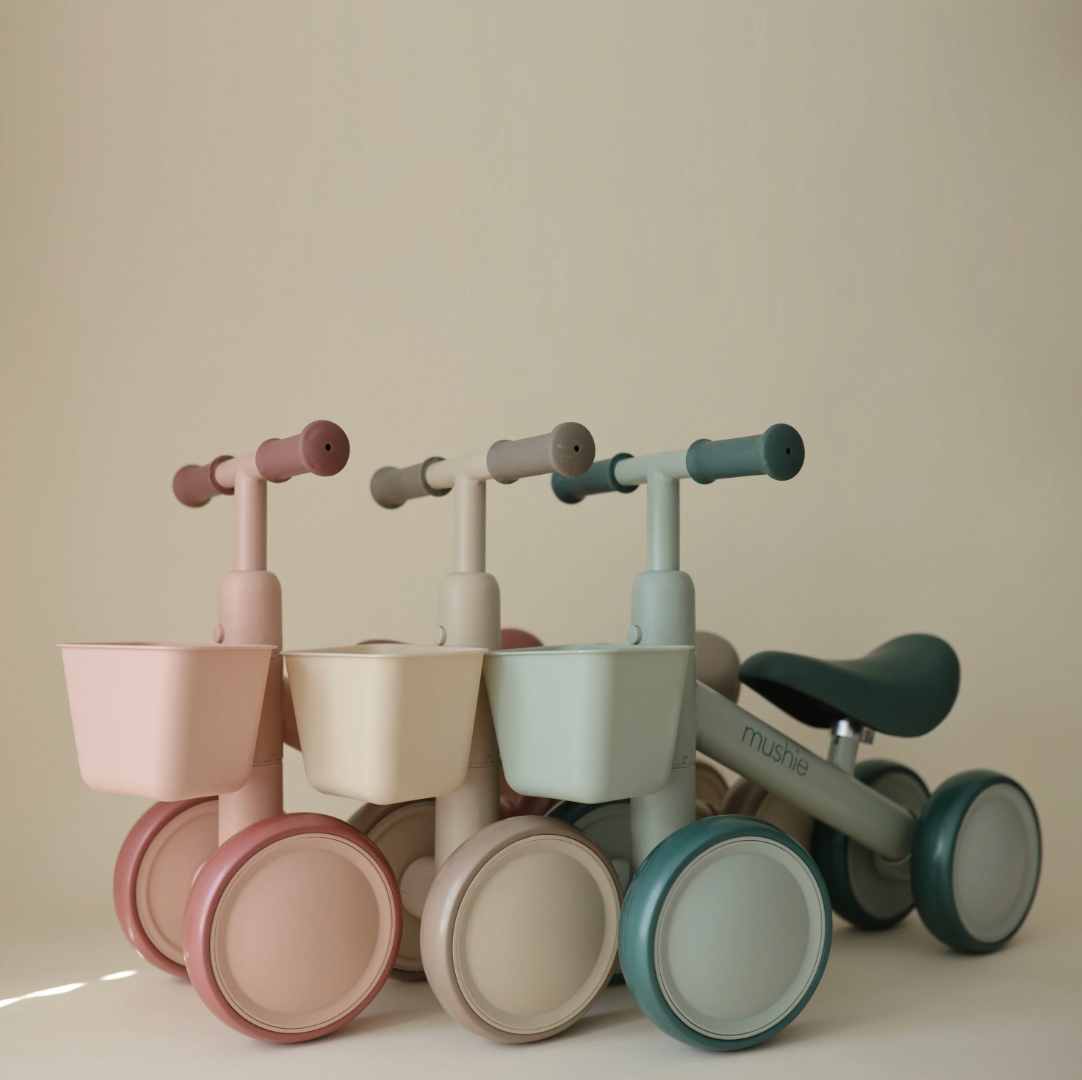 Mini Toddler Bike PRE ORDER