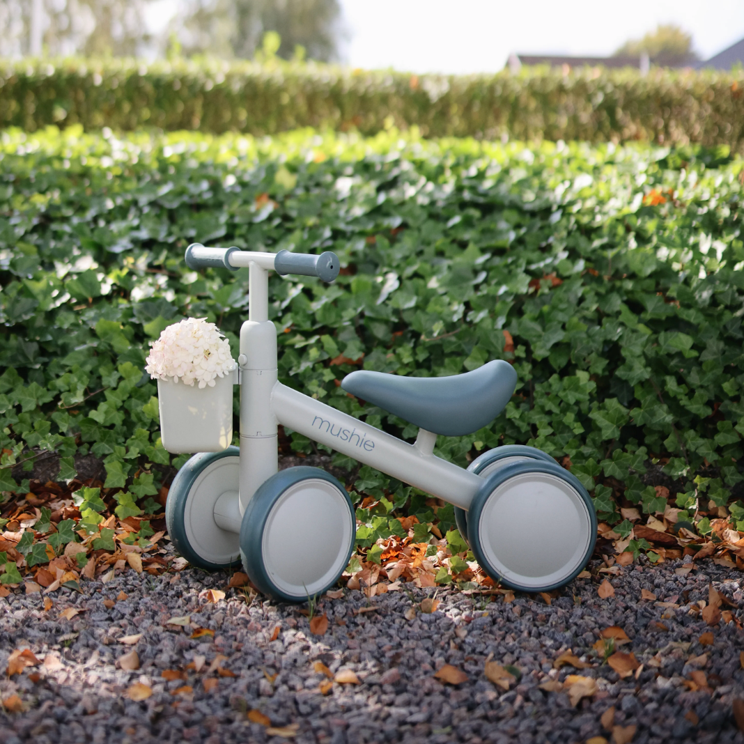 Mini Toddler Bike PRE ORDER