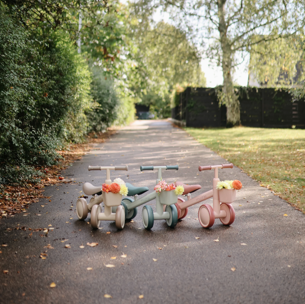 Mini Toddler Bike PRE ORDER