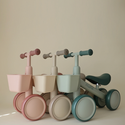 Mini Toddler Bike PRE ORDER