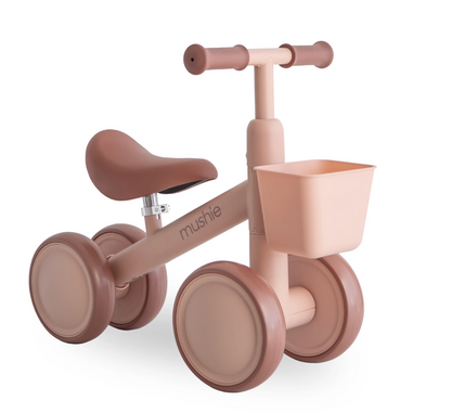 Mini Toddler Bike PRE ORDER