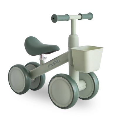 Mini Toddler Bike PRE ORDER