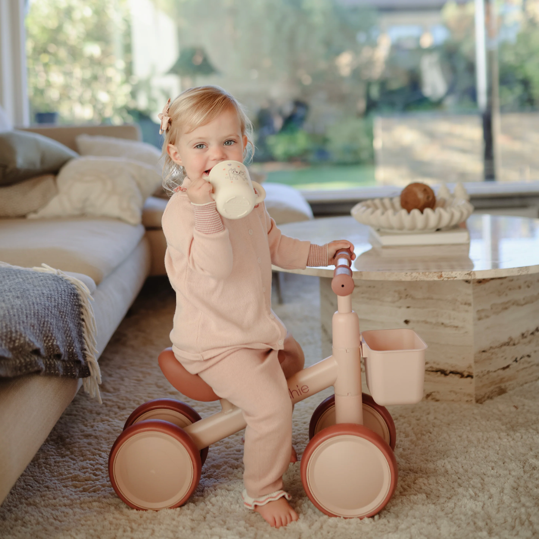 Mini Toddler Bike PRE ORDER